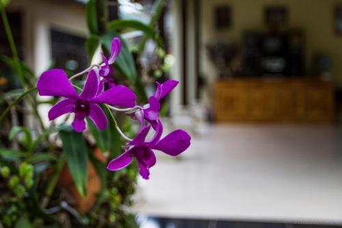Ubud Tri Upasedana House 2 Tegallalang  Ngoại thất bức ảnh